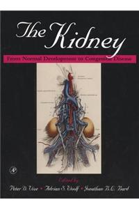 The Kidney