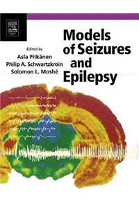 Models of Seizures and Epilepsy