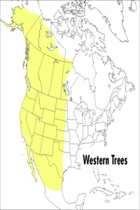 Peterson Field Guide to Western Trees