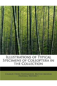 Illustrations of Typical Specimens of Coleoptera in the Collection