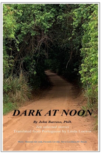 Dark at Noon