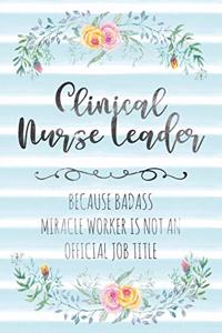 Clinical Nurse Leader