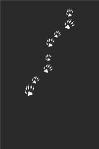 Racoon Paw Prints