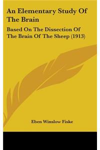 An Elementary Study Of The Brain