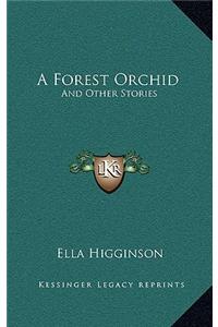 A Forest Orchid