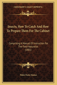 Insects, How To Catch And How To Prepare Them For The Cabinet