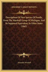 Descriptions Of New Species Of Fossils, From The Marshall Group Of Michigan, And Its Supposed Equivalent, In Other States (1865)