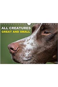 All Creatures Great and Small 2017