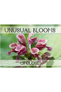 Unusual Blooms Up Close 2018