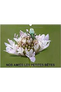 Nos Amies Les Petites Betes 2018