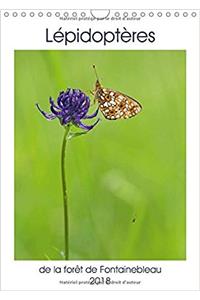 Lepidopteres De La Foret De Fontainebleau 2018