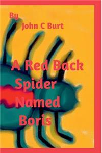 A Red Back Spider Named Boris.