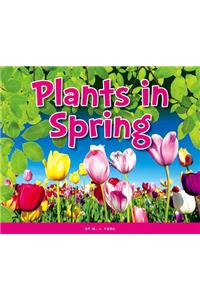 Plants in Spring