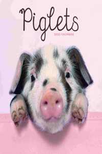 Piglets Mini Square Wall Calendar 2023