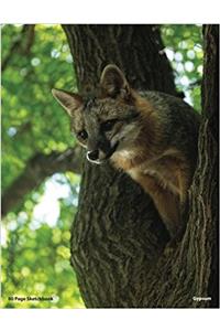 80 Page Fox Sketchbook