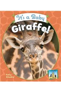 It's a Baby Giraffe!