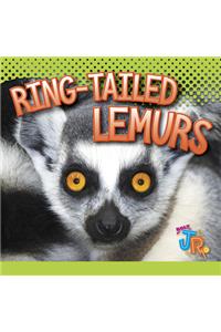 Ring-Tailed Lemurs