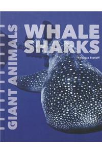 Whale Sharks