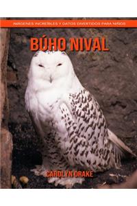 Búho nival