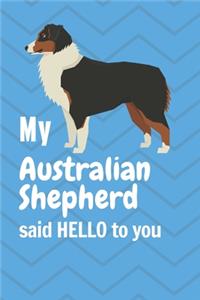 My Australian Shepherd said HELLO to you