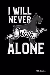 I Will Never Walk Alone