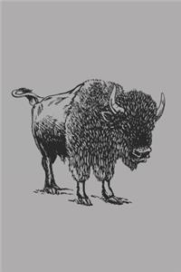 American Bison Buffalo Western Animal Lover