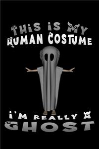 this is my human costume i'm really a ghost