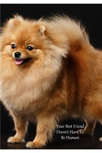 Your Best Friend Doesn't Have to be Human