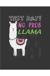 Test Day? No Prob Llama