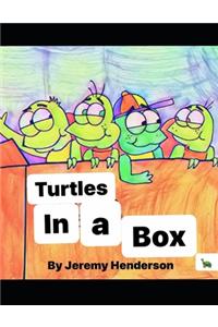 Turtles in a Box