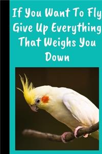 If You Want To Fly Give Up Everything That Weighs You Down