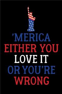 'Merica Either You Love It Or You're Wrong