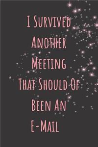 I Survived Another Meeting That Should of Been an E-mail
