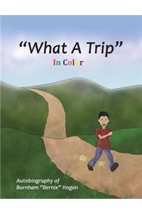 What A Trip: In Color