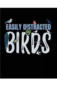Easily Distracted By Birds