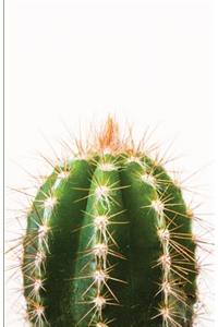 The Botanical Collection