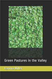 Green Pastures in the Valley