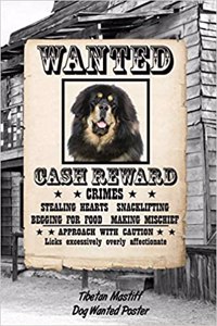 Tibetan Mastiff Dog Wanted Poster