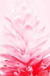 Soft Pinks - Lined Notebook with Margins