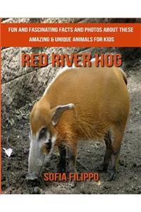 Red River Hog: Fun and Fascinating Facts and Photos about These Amazing & Unique Animals for Kids