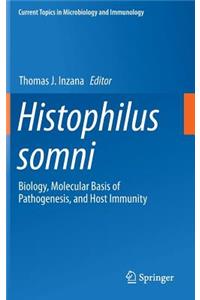 Histophilus somni