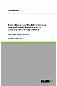 Unterrichtsstunde Membranaufbau (Biologie 11. Klasse Gymnasium)