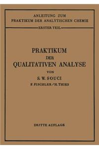 Praktikum der qualitativen Analyse