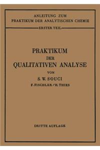 Praktikum Der Qualitativen Analyse