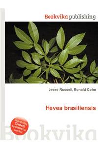 Hevea Brasiliensis