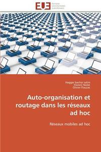 Auto-Organisation Et Routage Dans Les Réseaux Ad Hoc