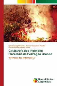 Catástrofe dos Incêndios Florestais de Pedrógão Grande