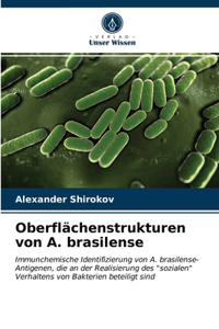 Oberflächenstrukturen von A. brasilense