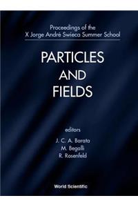 Particles and Fields - Proceedings of the X Jorge Andre Swieca Summer School