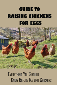 Guide To Raising Chickens For Eggs